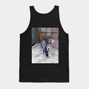 donkeys T-shirt Tank Top